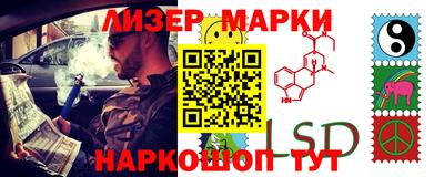 прущие грибы Новозыбков
