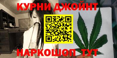 прущие грибы Новозыбков