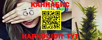 прущие грибы Новозыбков
