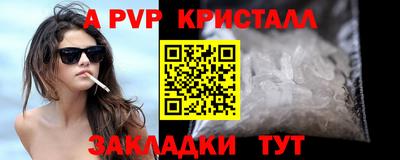 прущие грибы Новозыбков