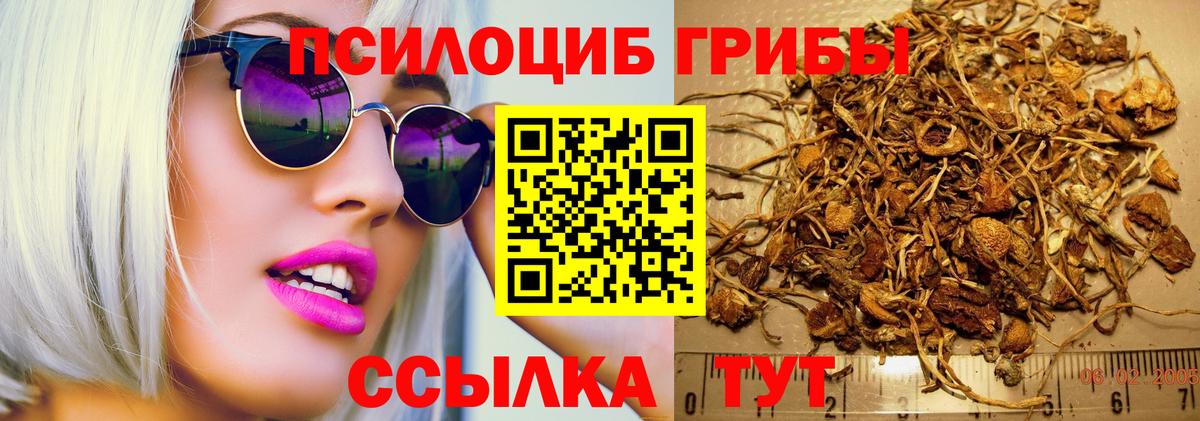 Строитель  Галлюциногенные грибы Cubensis  Галлюциногенные грибы мухоморы  Вход с VPN 