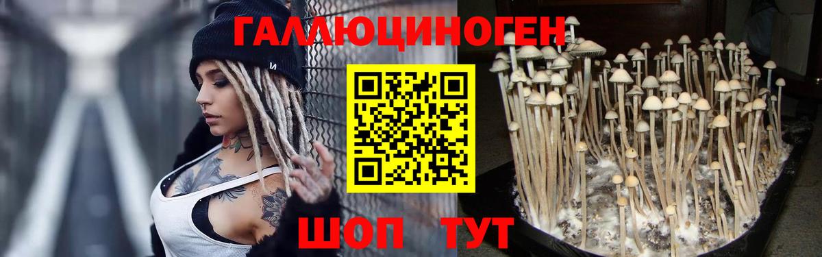 Псилоцибиновые грибы мицелий Строитель